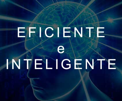 seo eficiente e inteligente